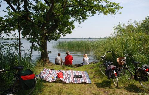 rustdag